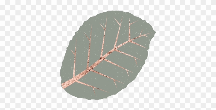 #plant #plants #leaf #leaves #floral #decor #decoration - Circle Clipart #2559707