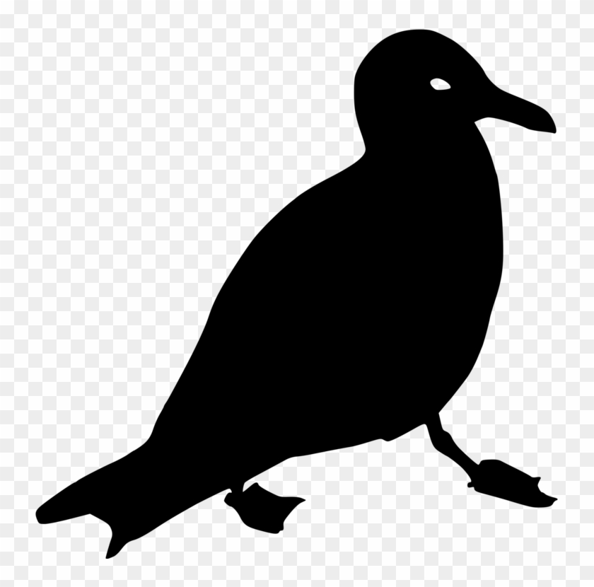 Gulls Download Computer Icons Silhouette - Silueta De Gaviota Clipart #2560794