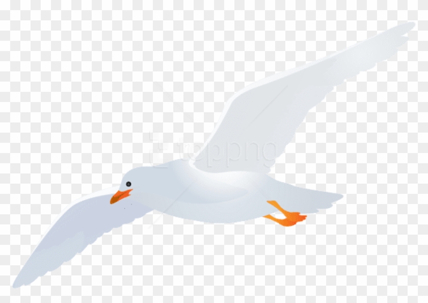 Free Png Download Seagull Transparent Png Images Background - Seagull Transparent Clipart #2560885
