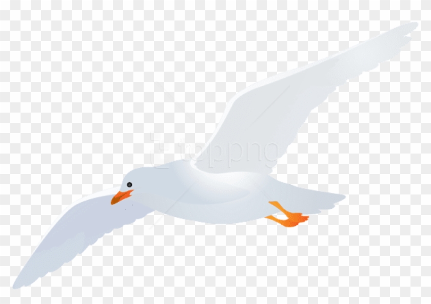 Free Png Download Seagull Transparent Png Images Background - Seagull Transparent Clipart
