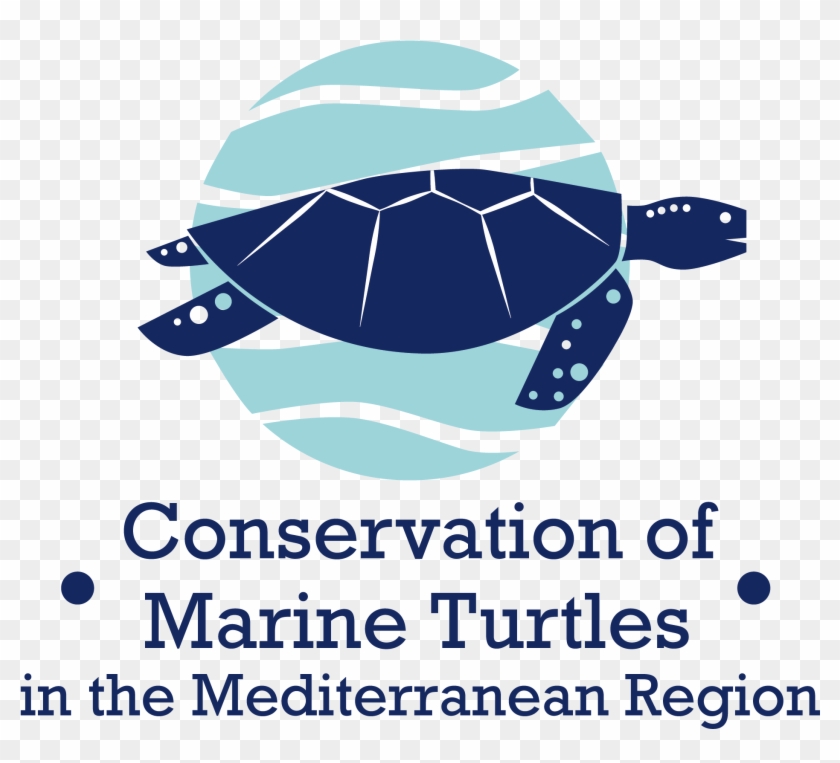 The Partners Involved Are - Box Turtle Clipart #2561165