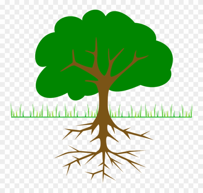 Roots Clipart Tall Tree Stump - Tree Clip Art - Png Download #2561823