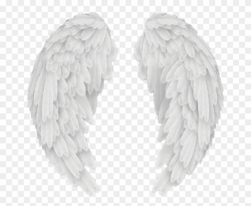 Angels In America Wings - Baby Angel Wings Png Clipart