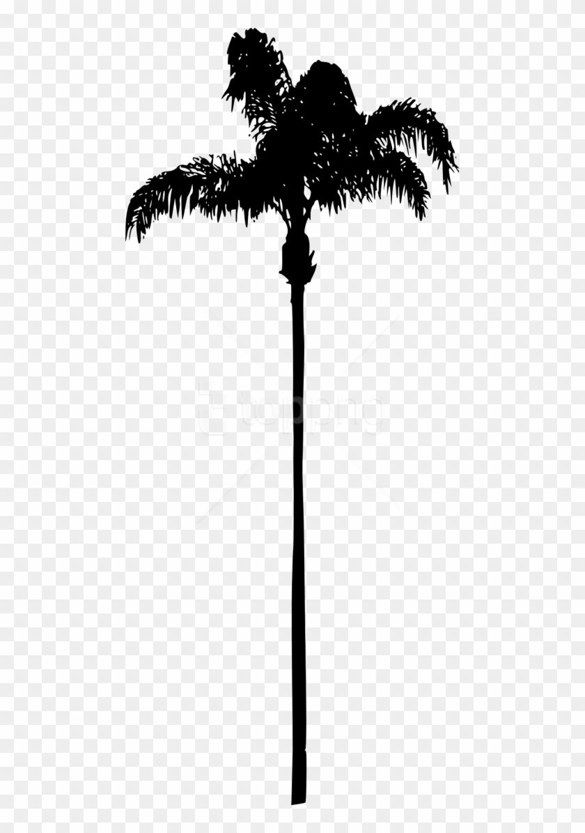 Free Png Palm Tree Png - Palm Tree No Background Clipart #2564662