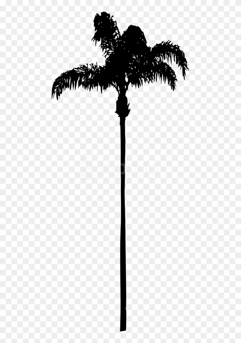 Download Free Png Palm Tree Png - Palm Tree No Background Clipart Png