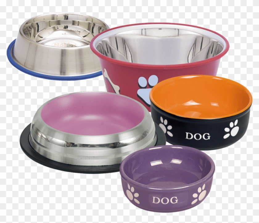 Food & Water Bowls Clipart #2565417