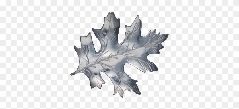 Black Oak Clipart #2567994