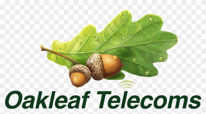 Oakleaf Logo New 1 - Acorn Clipart #2568046