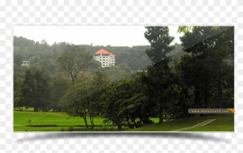 Cameron Highlands District , Png Download - House Clipart