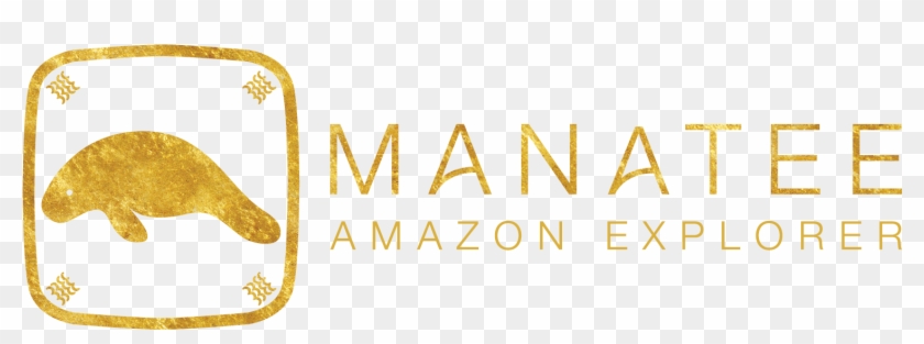 M/v Manatee Amazon Cruise - Manatee Amazon Explorer Cruise Clipart #2569674