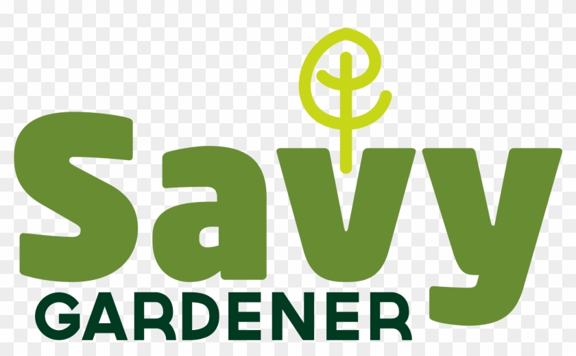 Graphic Design Clipart #2569901