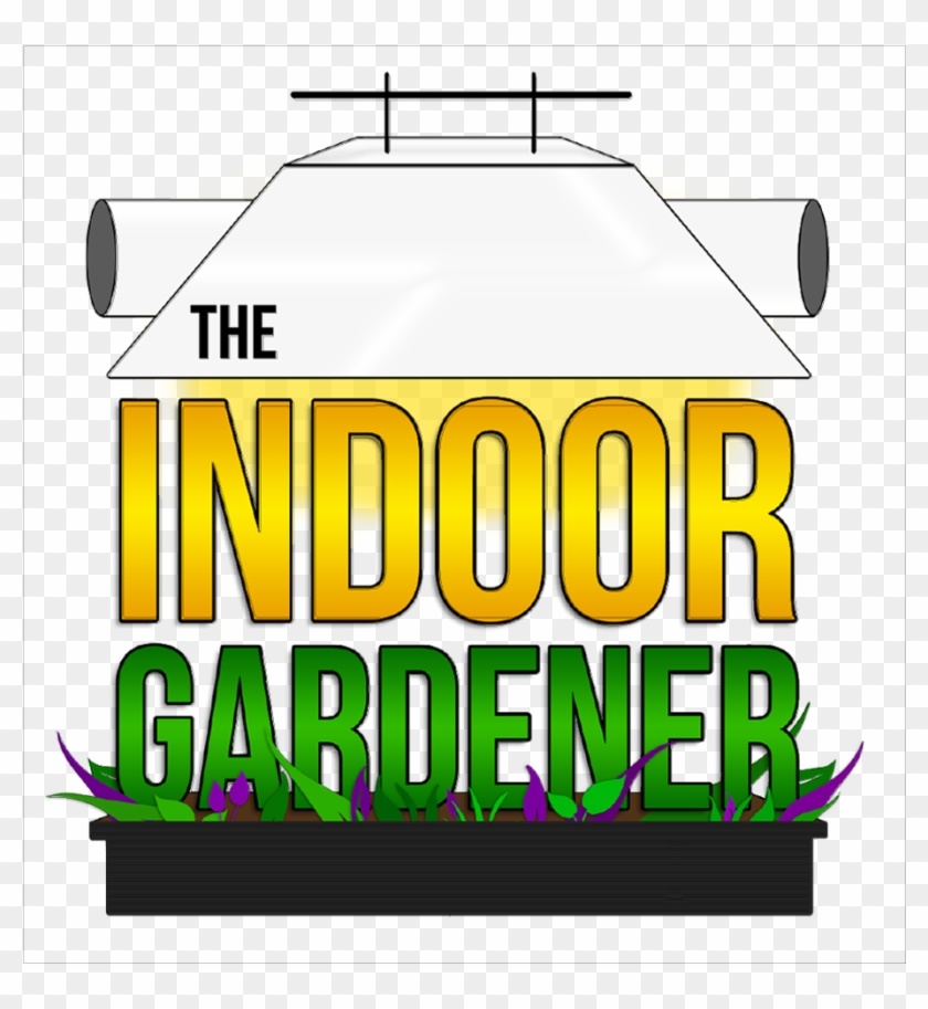 Graphic Design Clipart #2570012