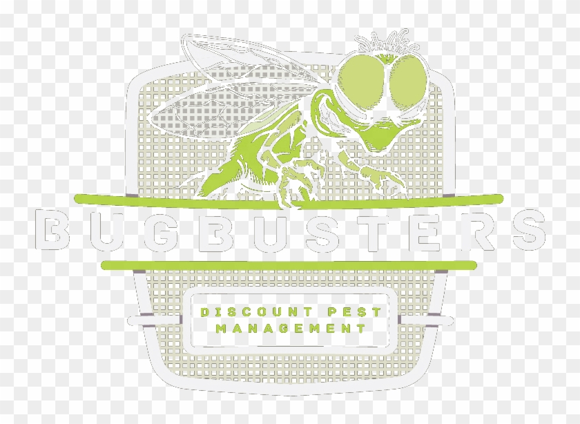 Net-winged Insects Clipart #2570636