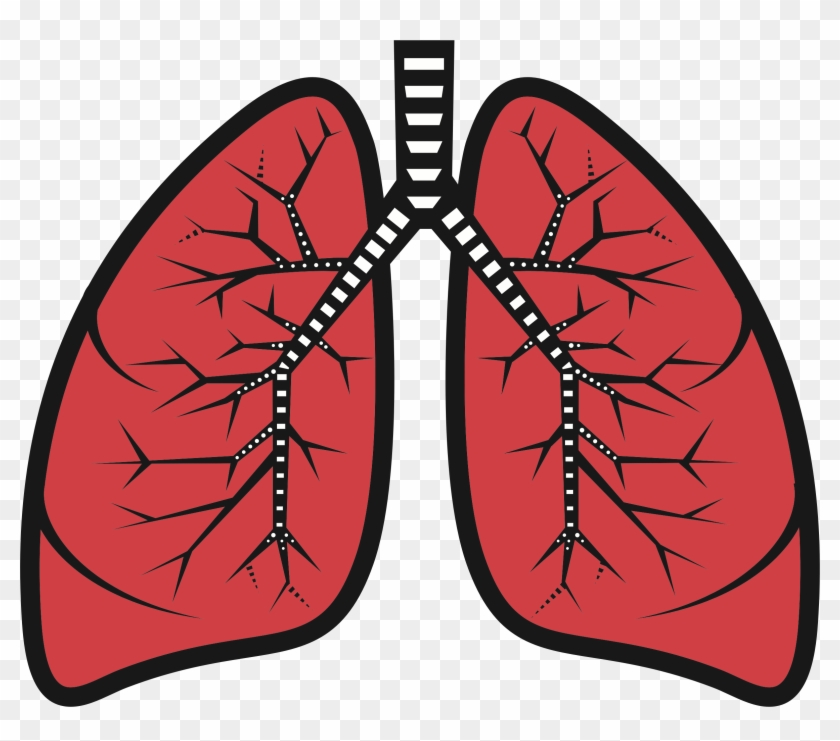 Lungs Clipart - Png Download #2571677