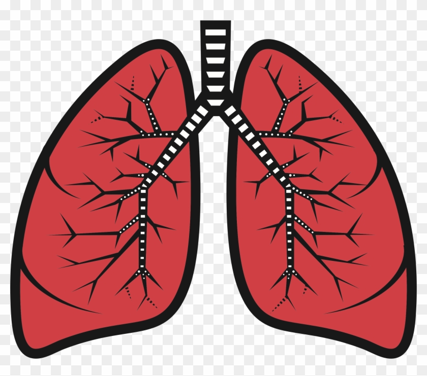 Lungs Clipart - Png Download