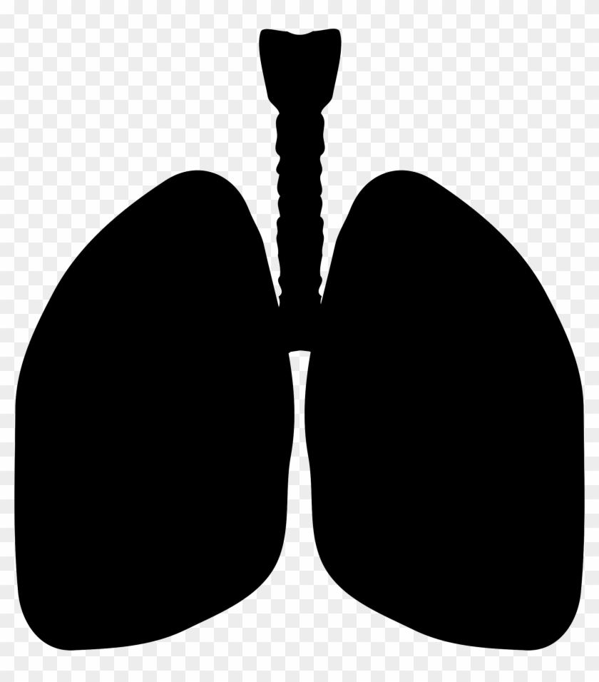 Lung Clipart Black And White - Png Download #2571763