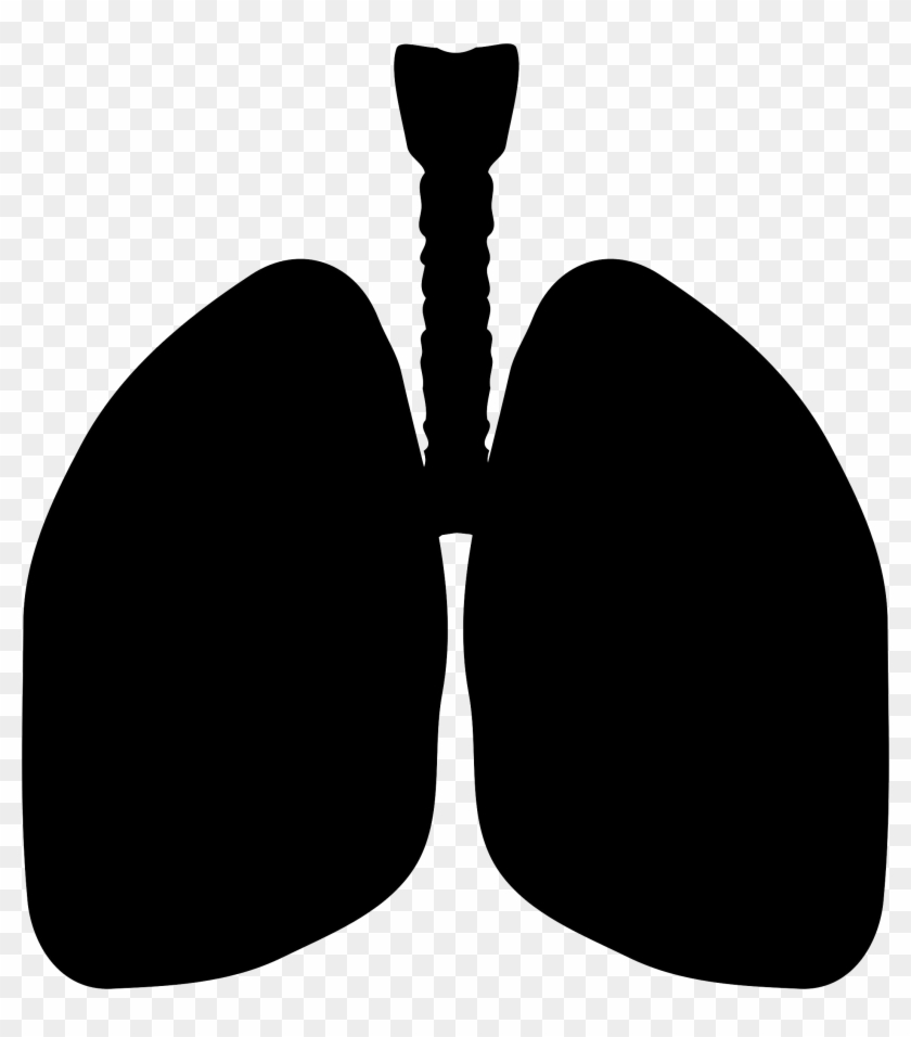 Lung Clipart Black And White - Png Download