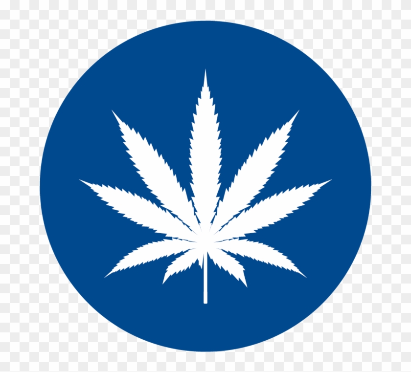 Stories To Watch In - White Cannabis Leaf Black Background Clipart #2571853