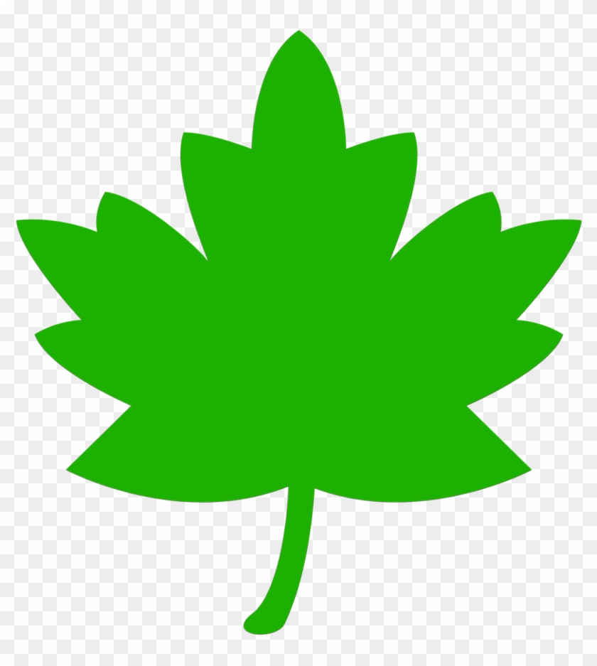 Icon Leaf Green Tree Nature Png Image - Fall Leaves Clip Art Transparent Png