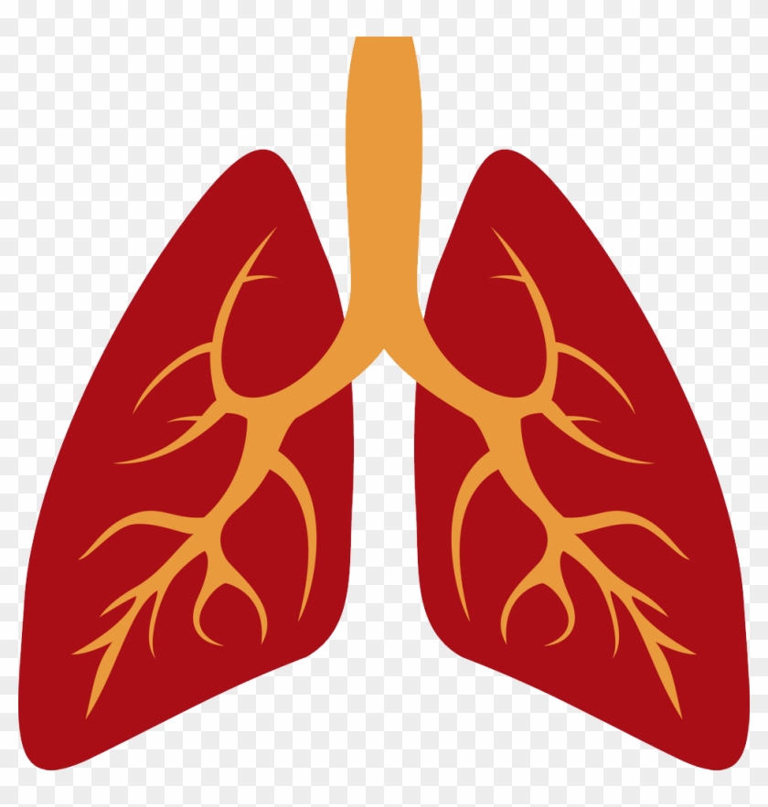 Human Lung Lungs Icon Clipart #2571934