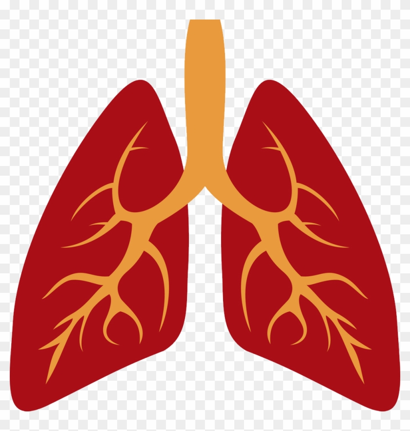 Human Lung Lungs Icon Clipart