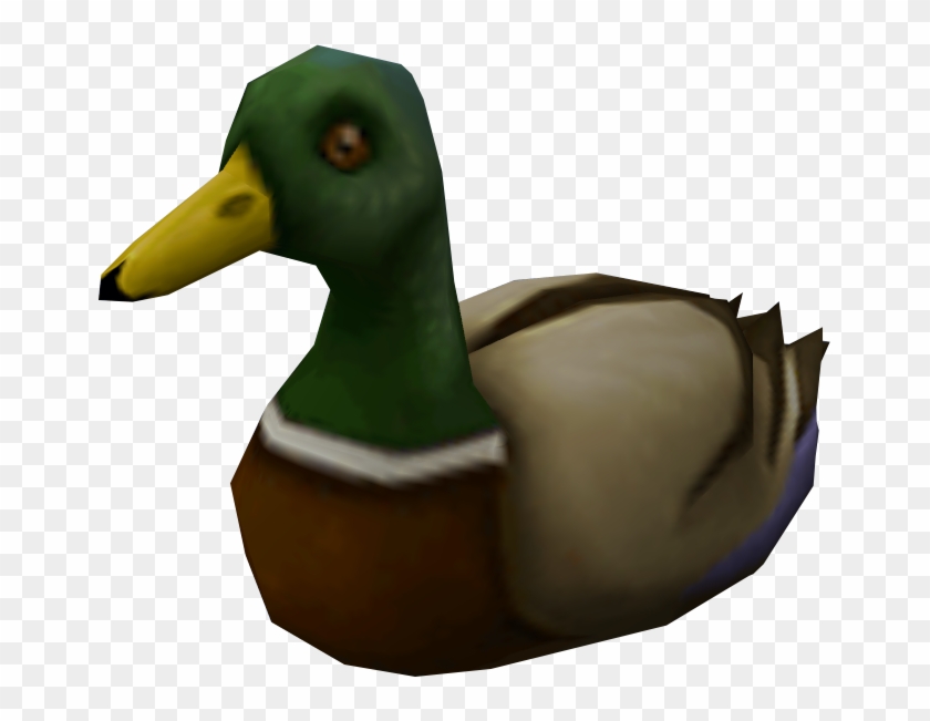 Mallard Clipart #2572285
