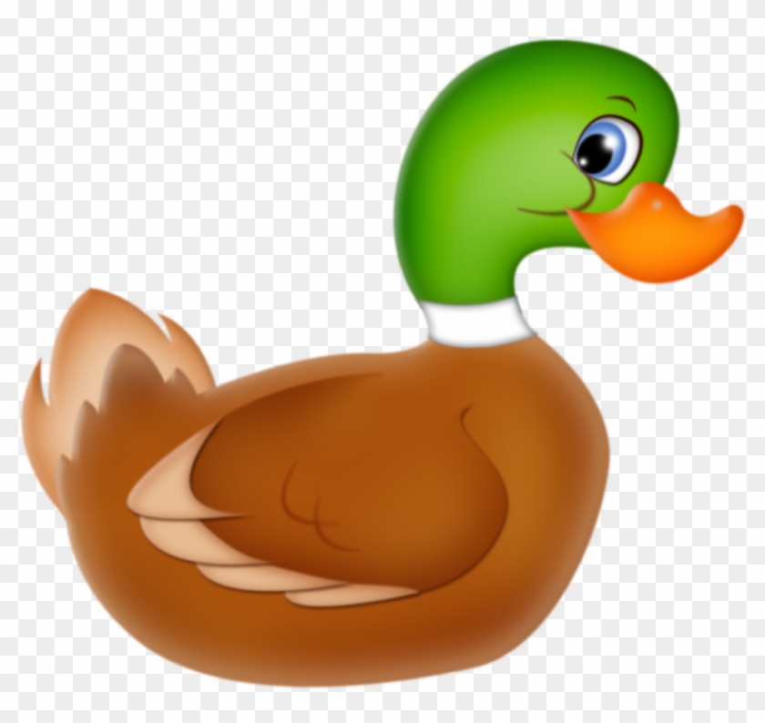 Mallard Duck * Mc Donalds, Quack Quack, Cute Images, - Canard Clipart - Png Download