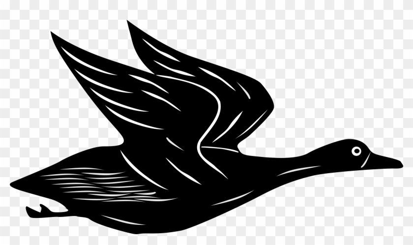 Duck Clipart Flying - Bird Cartoon Gif Png Transparent Png