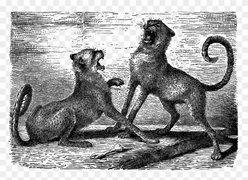 The Last Digital Big Cats Clip Art Is A Lovely And - Ancient Dog Breeds - Png Download #2572515