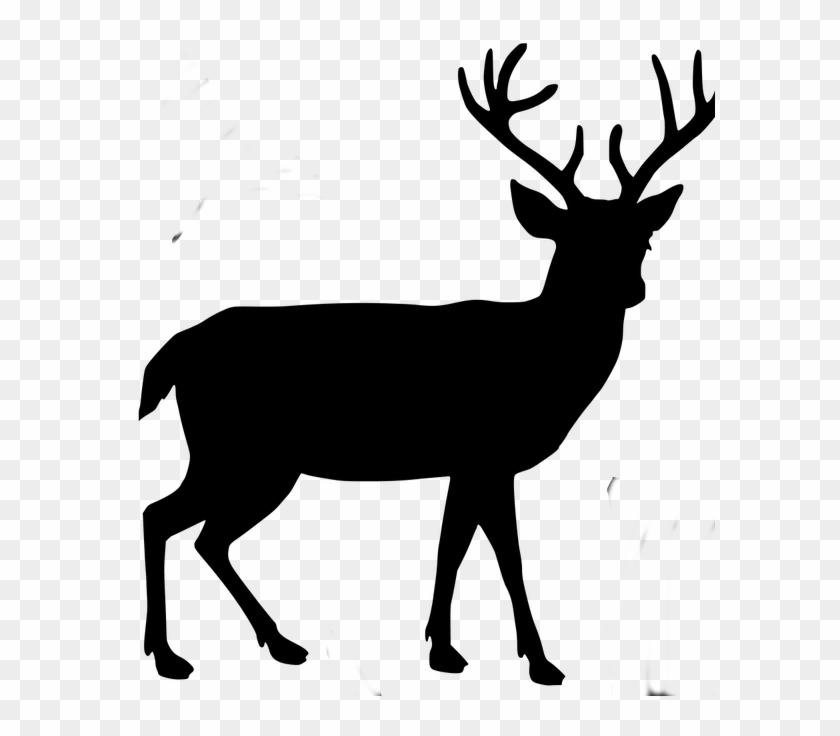 Body Buck - Deer Silhouette Transparent Background Clipart