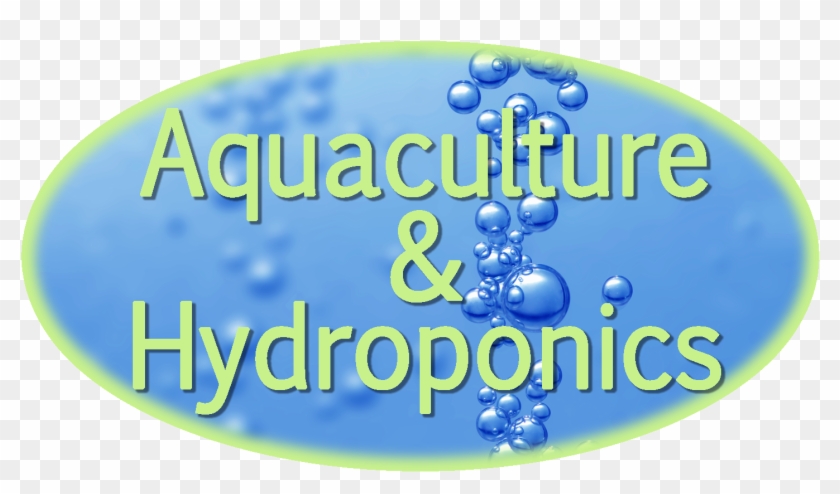 Make Oxygen For Pennies A Day - Circle Clipart