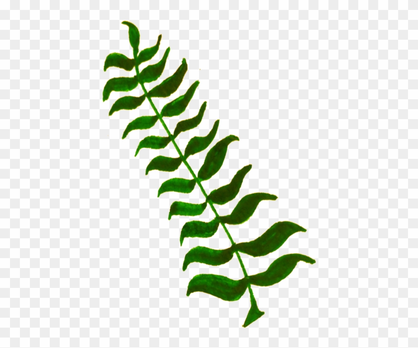 Calligraphy Computer Icons Plant Stem Leaf Twig - Plant Clipart - Png Download #2573619