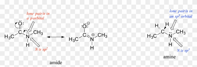 In Fact, The Latter Picture Is More Accurate - Amide Hybridization Clipart #2573997