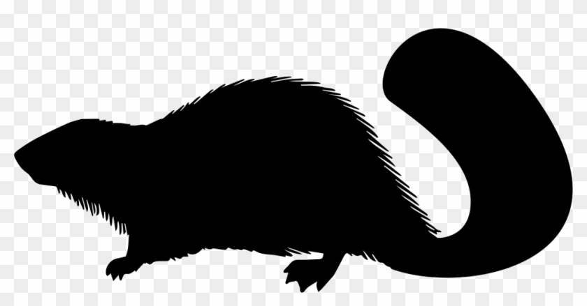 Beaver Transparent Png Images Free Download 020 - Transparent Beaver Silhouette Png Clipart