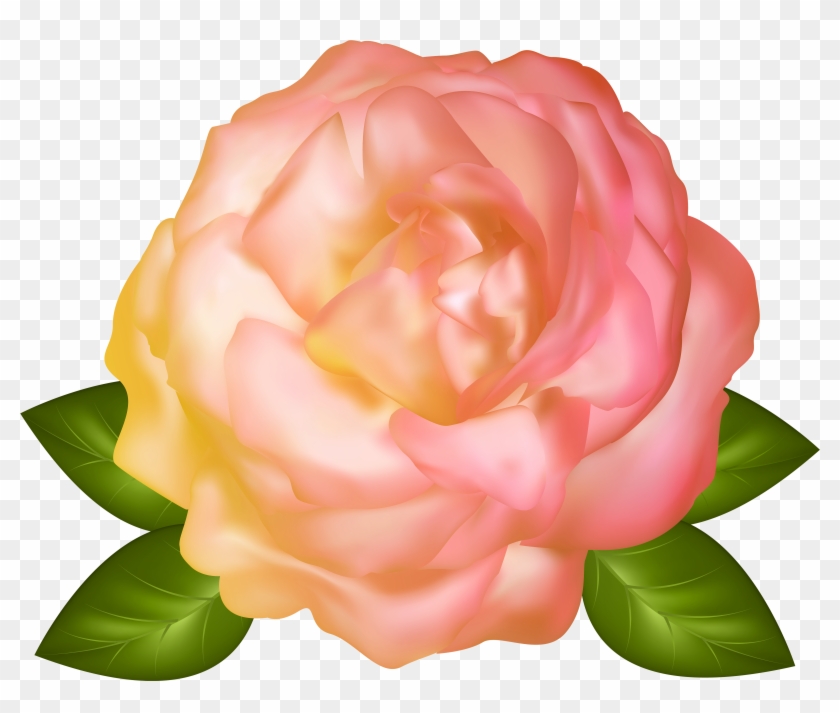 Beautiful Yellow Rose Transparent Png Image - Beautiful Garden Full Hd Images Png Clipart #2574924