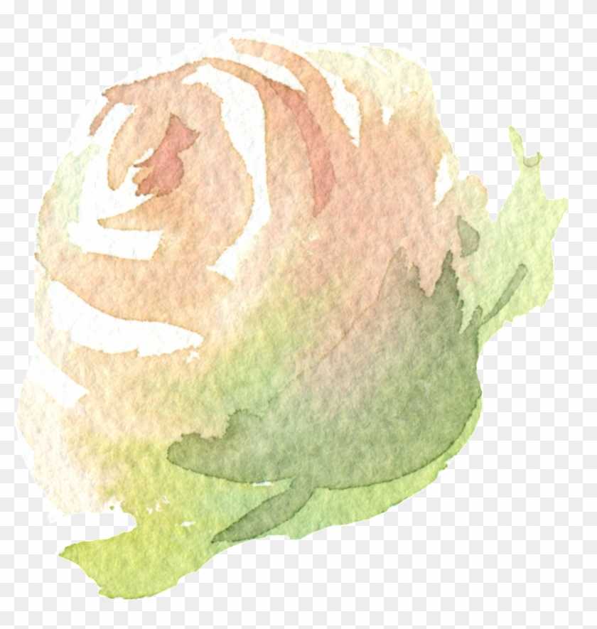 Hand Painted A Champagne Rose Png Transparent - Macro Photography Clipart #2574967