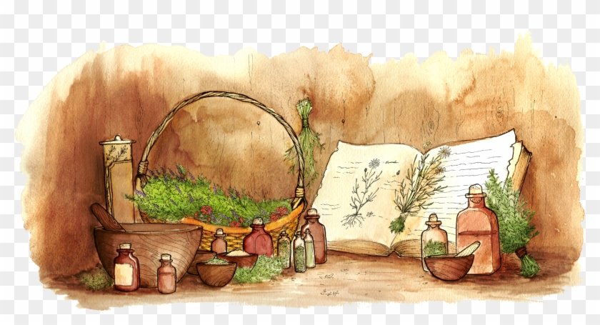 Herbs Cartoon Png , Png Download - Herbs History Clipart