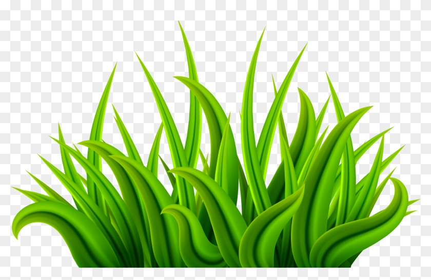 Grass Green Png Clip Art Image - Clipart Of Grass Transparent Png #2575127