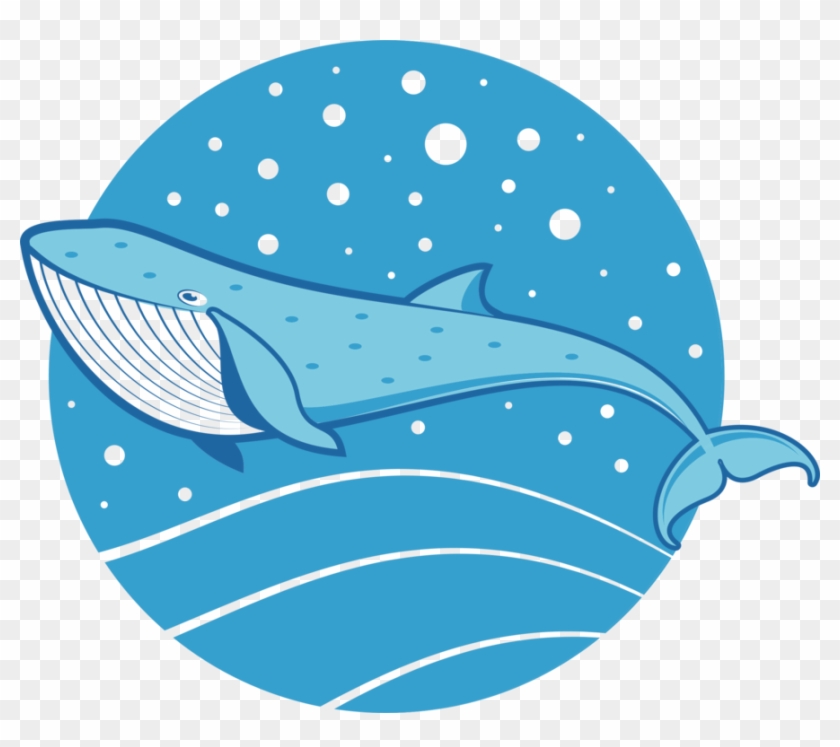 Drawing Cetacea Color Blue Whale Mammal - Blue Whale Shark Drawing Clipart #2575499