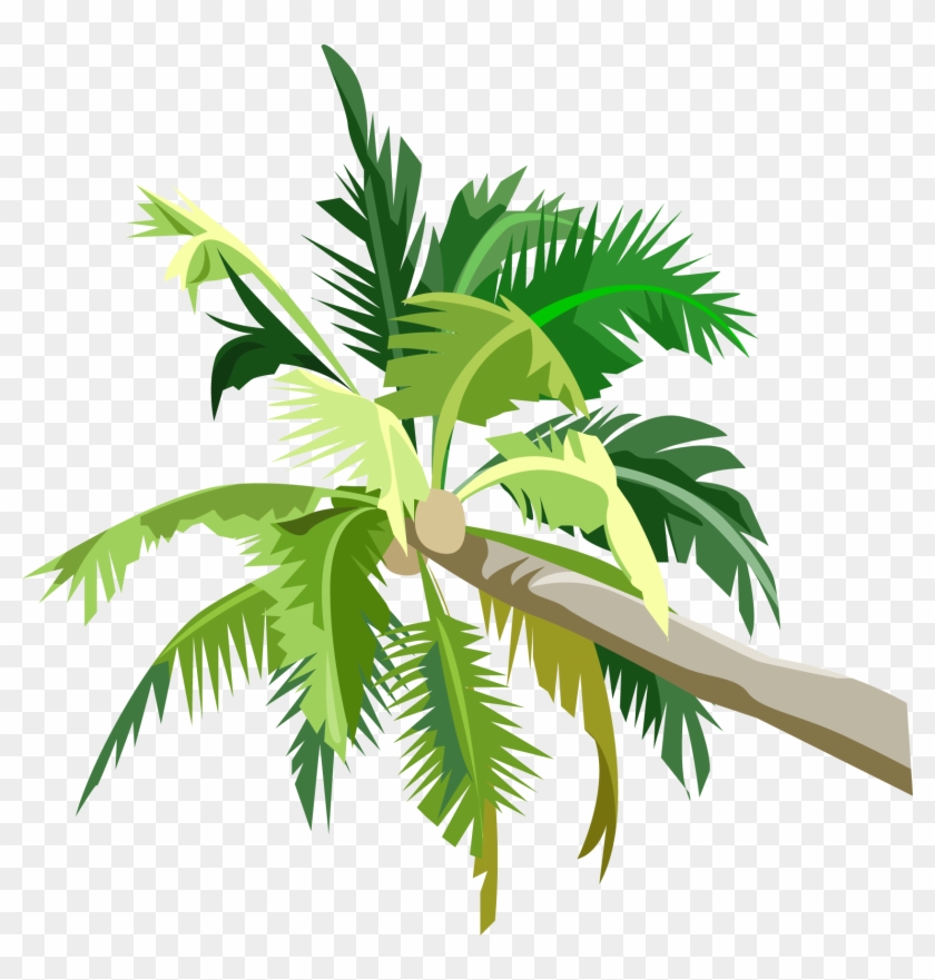 Пальмы Png Clipart #2577131