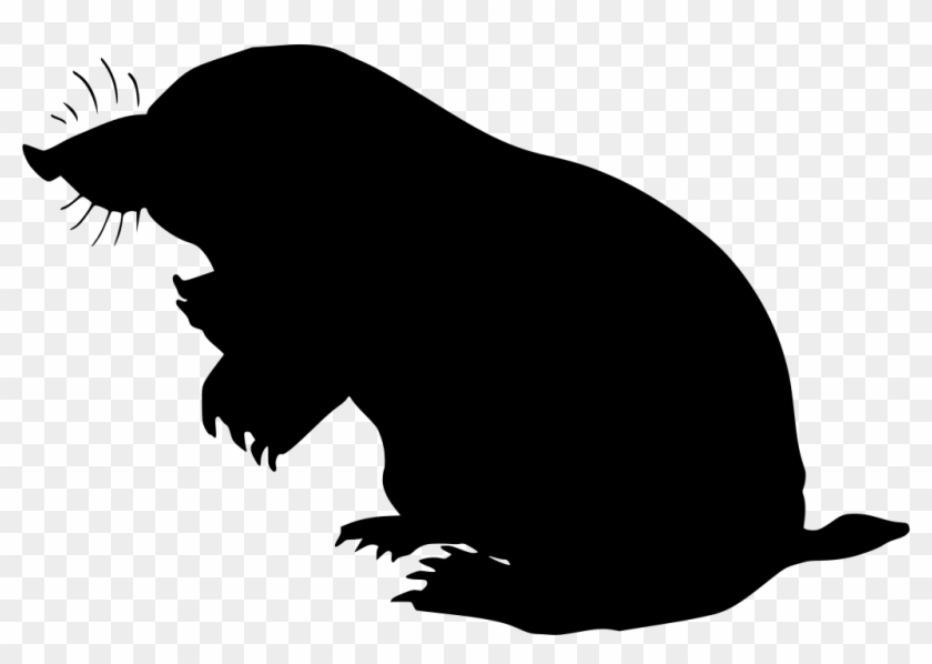 Download Png - Mole Clipart Transparent Png