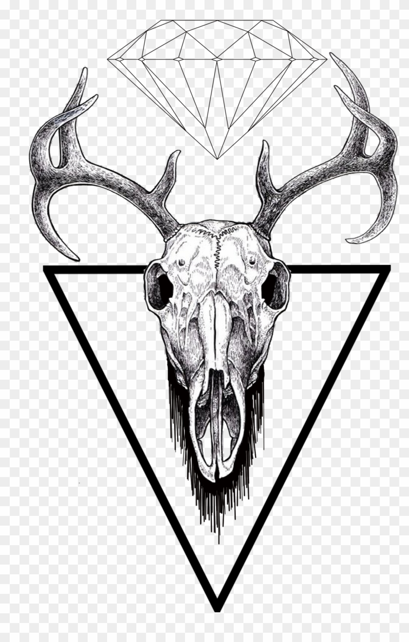 Find Us On Facebook - Drawn Reindeer Skull Clipart #2578767