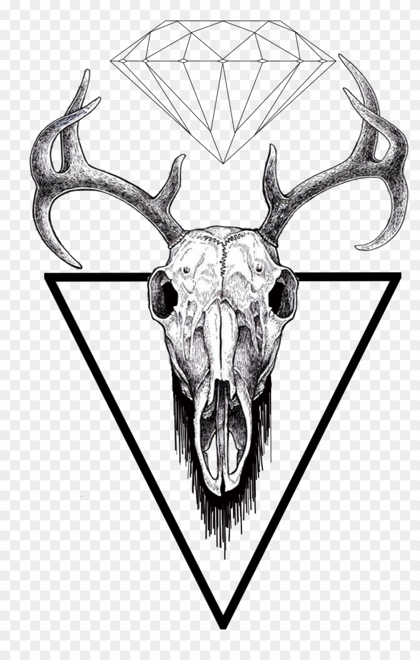 Find Us On Facebook - Drawn Reindeer Skull Clipart