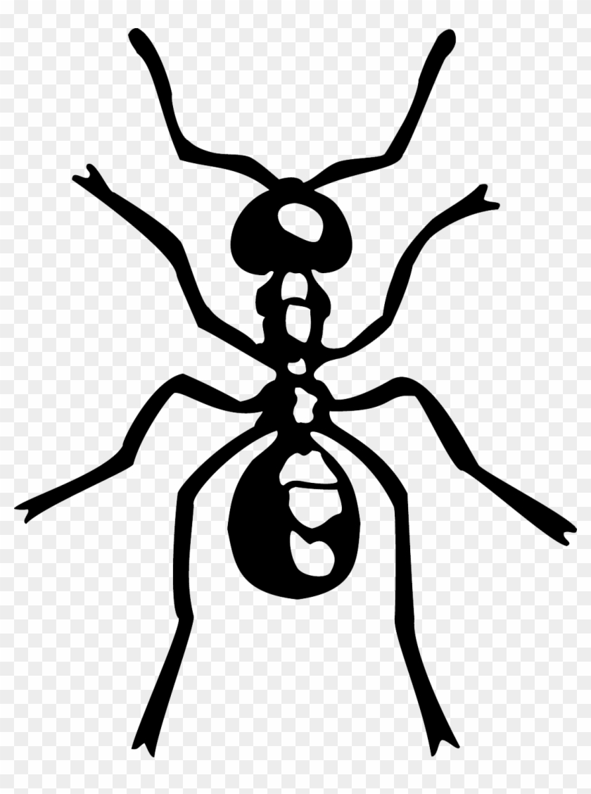 Transparent Ant Simple - Fire Ants Easy Drawing Clipart #2579290