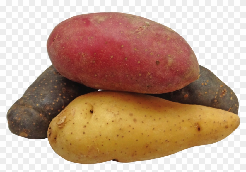 The Foams For The Study Were Made From Potato Starch, - Potatoes Png Clipart #2579546
