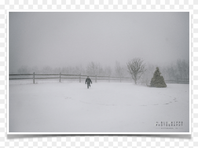 White Out Snow Storm - Snow Clipart #2579970