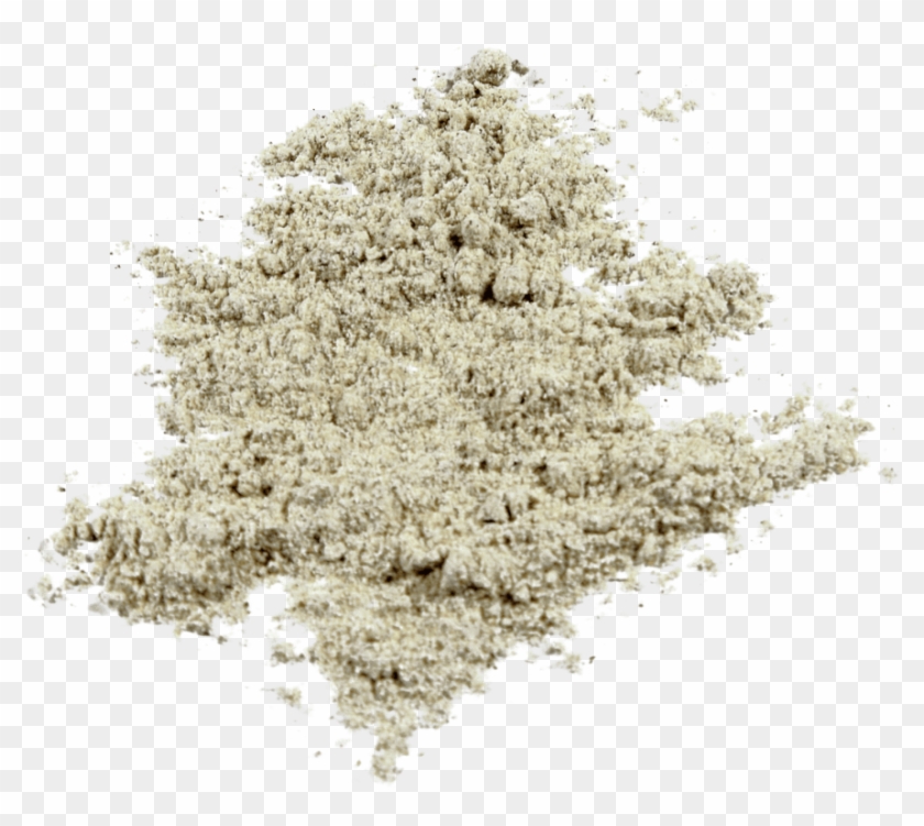 Equiflor, Llc , Png Download - Tree Clipart