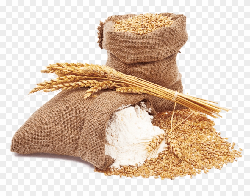 Wheat And Wheat Flour - Harina De Trigo Png Clipart