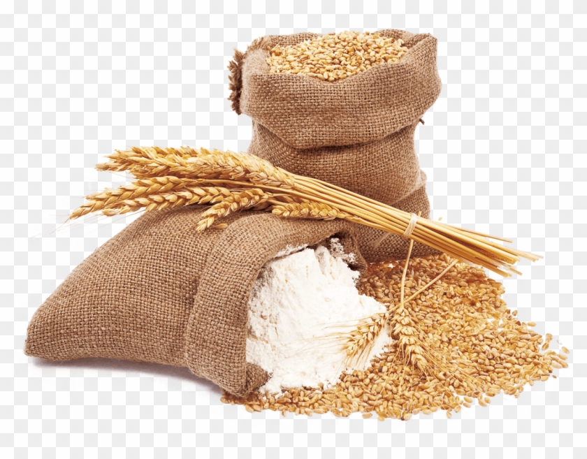 Wheat And Wheat Flour - Harina De Trigo Png Clipart #2581397