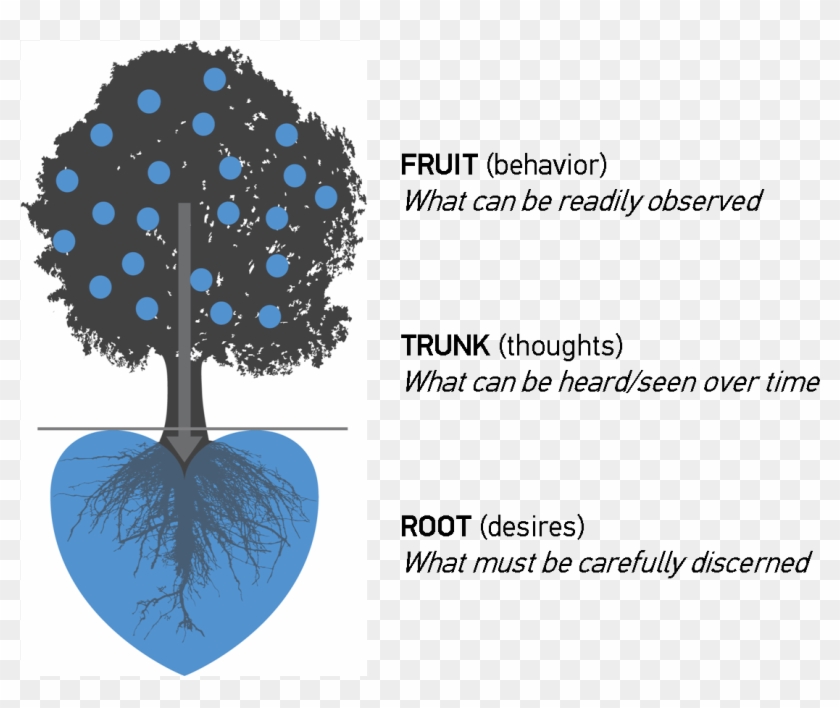 Harvest Tree Heart Diagram - Circle Clipart #2582151